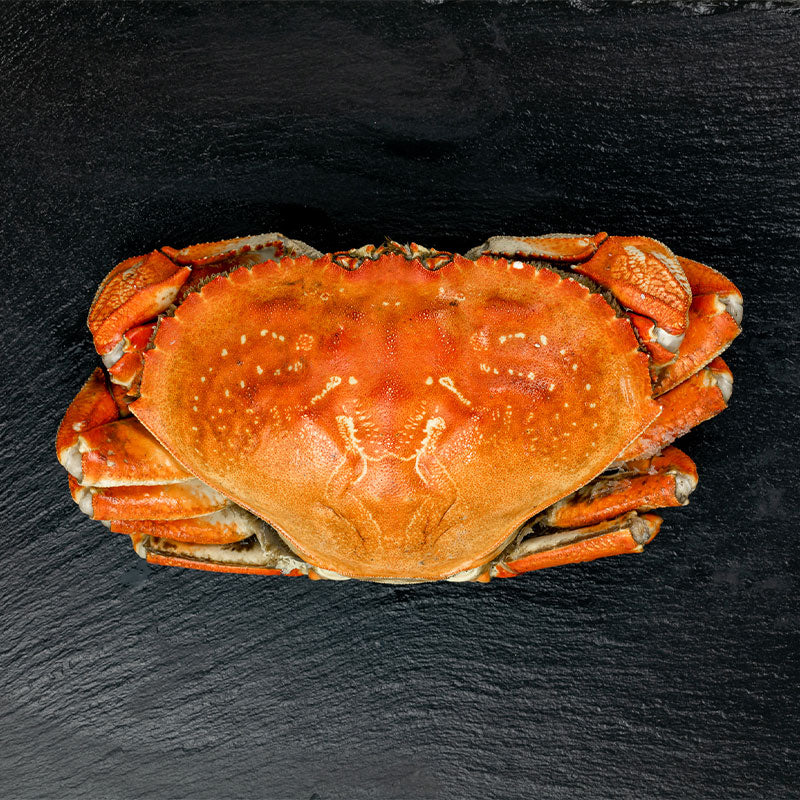 Whole Dungeness Crab Online | Pure Food Fish Market