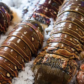 How to Butterfly a Lobster Tail