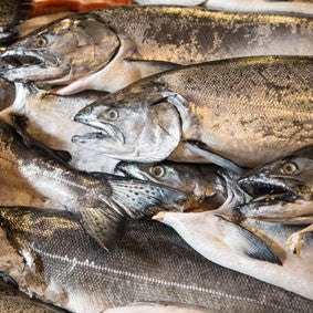 How to Fix Fine Fresh Fish!