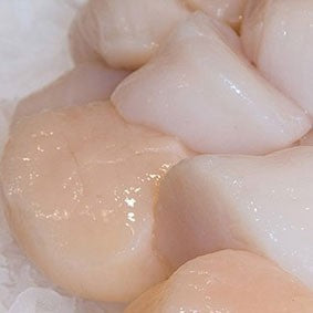 Jumbo Fresh Scallops - Healthy and Delicious