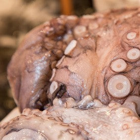 How to Prepare the Perfect Octopus: Put a Cork in it?