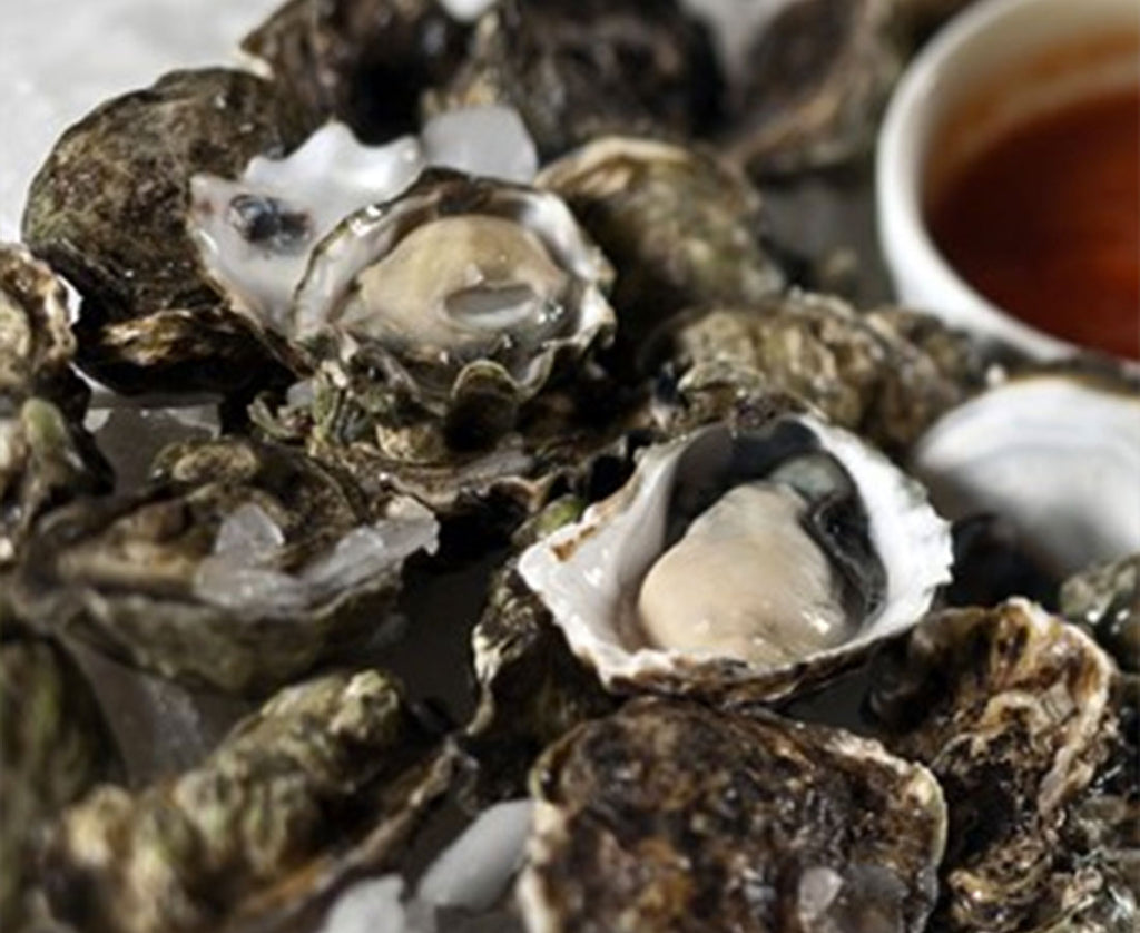 https://www.freshseafood.com/cdn/shop/articles/how-to-shuck-an-oyster_1024x1024.jpg?v=1621887548