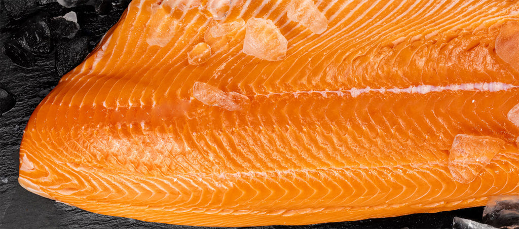 Wild about Salmon: How to Store Fresh Salmon