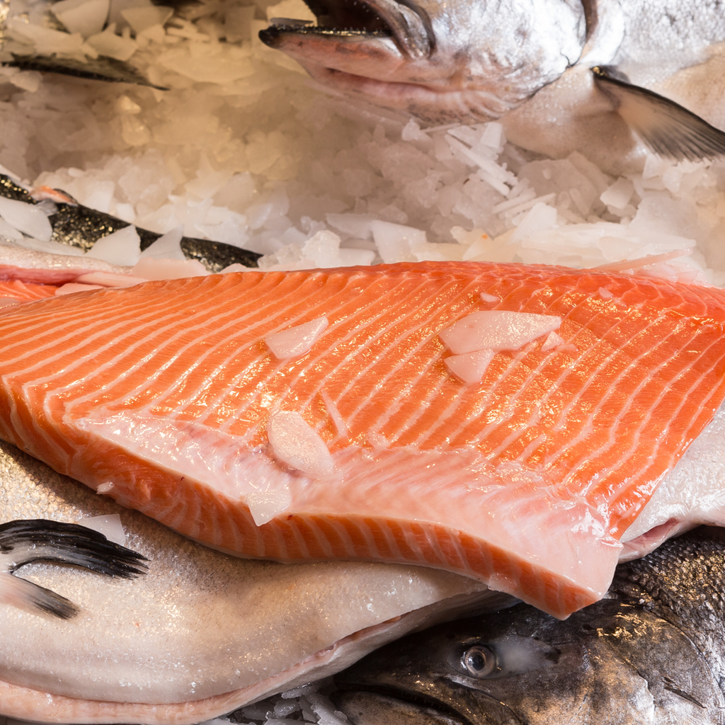 How to Freeze Fish Properly