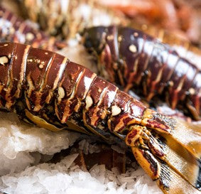 How To Freeze Lobster Tails