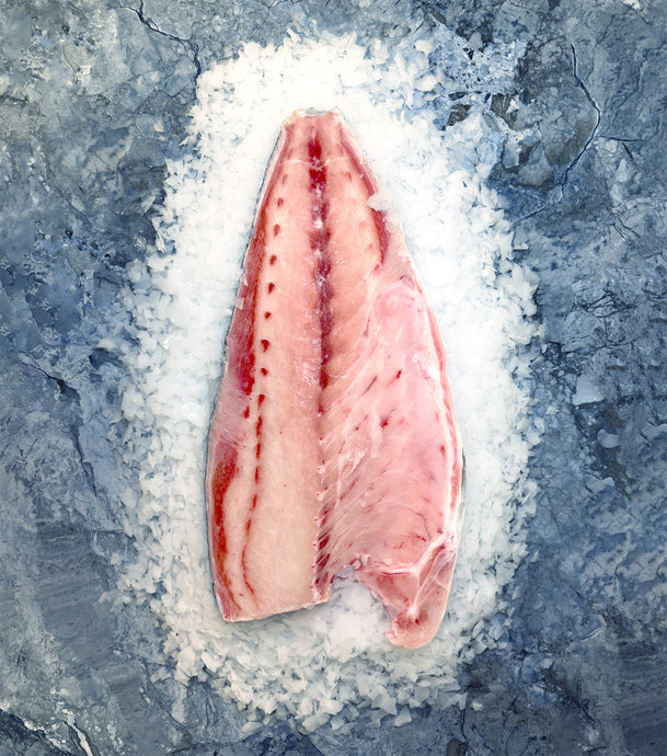 Yellowtail Tuna Hamachi (Amberjack)