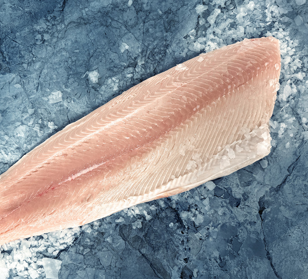 Fresh Alaskan White King Salmon Fillet