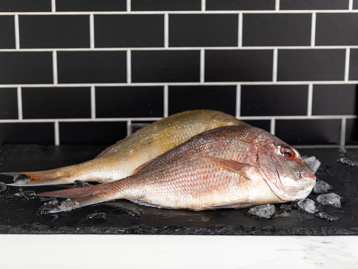 Fresh Whole New Zealand Snapper – Pure Food Fish Market