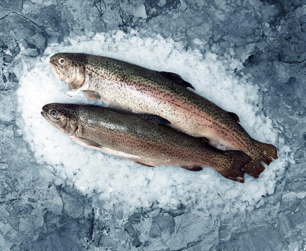Buy Fresh Whole Rainbow Trout Online – Pure Food Fish Market
