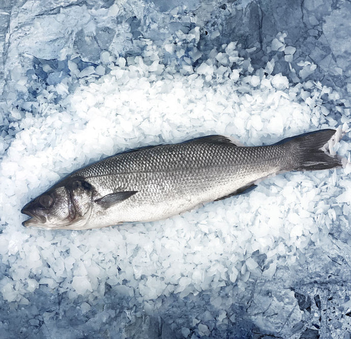 Fresh Mediterranean Branzino (Wild)