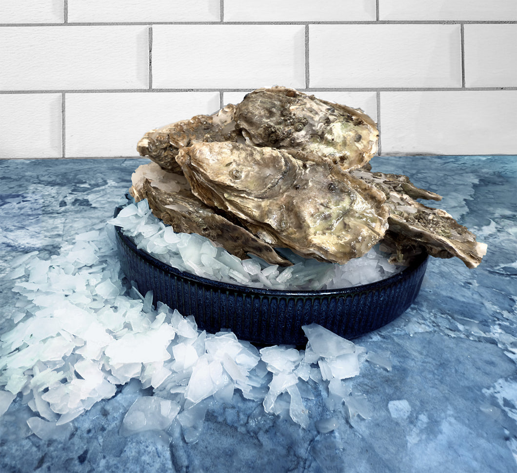 Hood Canal Oysters