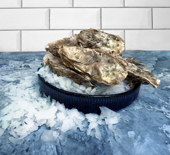 Hood Canal Oysters
