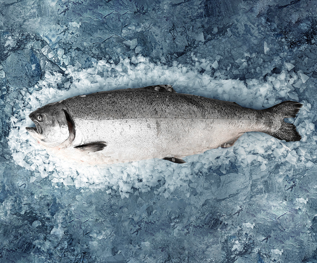 Whole New Zealand Ora King Salmon