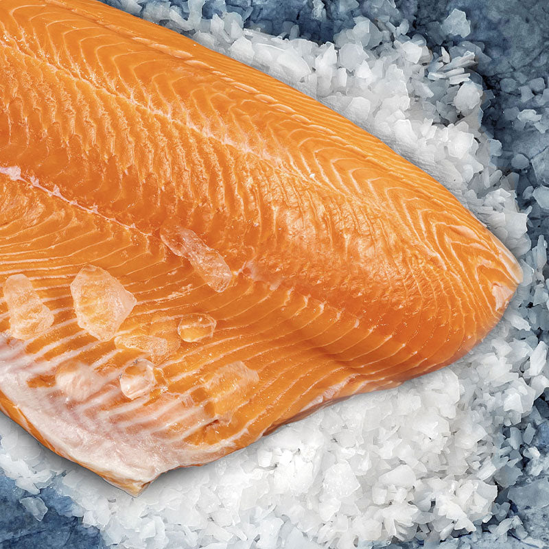 Fresh Northwest King Salmon Fillet