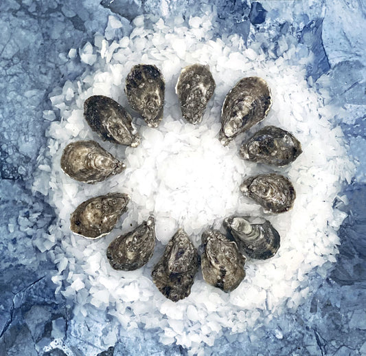 Shigoku Oysters In Shell