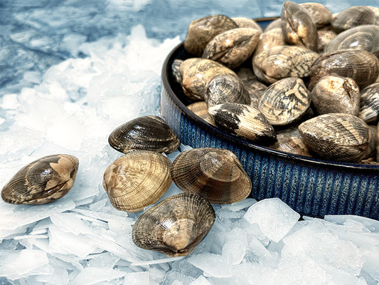 Fresh Manila Steamer Clams