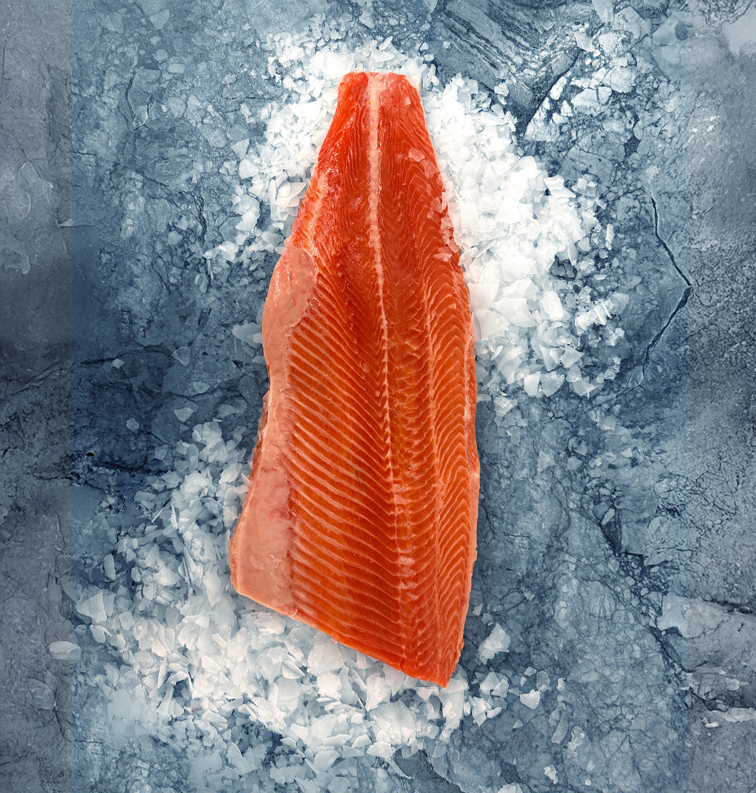 Fresh Steelhead Salmon Fillet