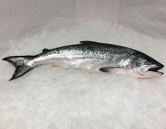 Fresh Whole Northwest King Salmon - 7-8 lbs.