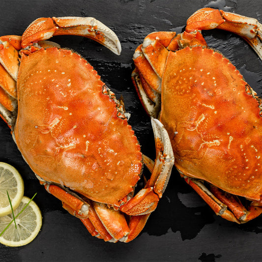 Jumbo Whole Dungeness Crab