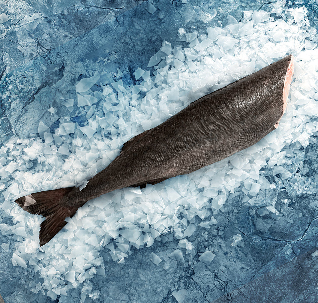 Whole Black Cod (Sablefish)