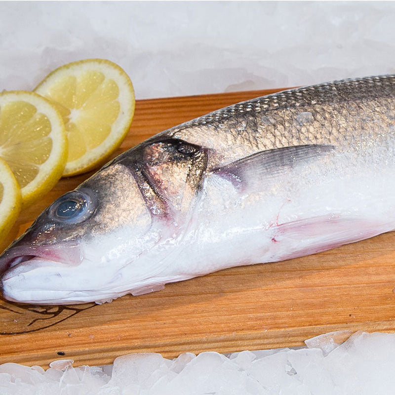 Buy Mediterranean Branzino Online – Pure Food Fish Market