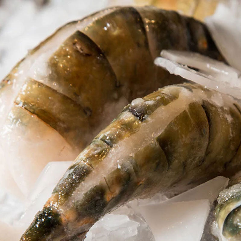 Buy Wild Caught Fresh Jumbo Shrimp For Sale Online
